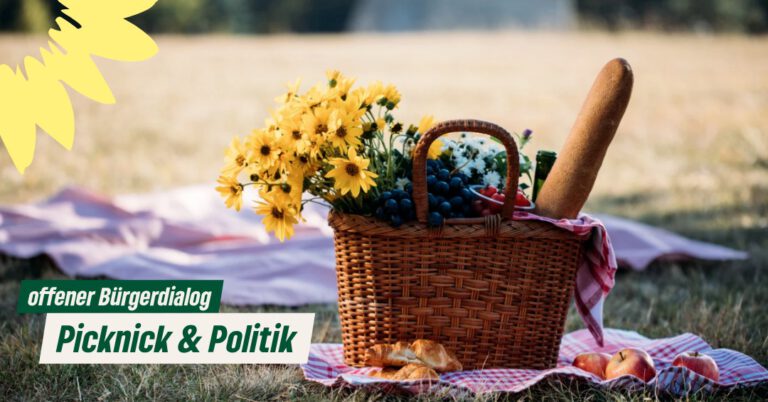 Picknick & Politik – Offener Bürgerdialog im Goitzsche-Seenland