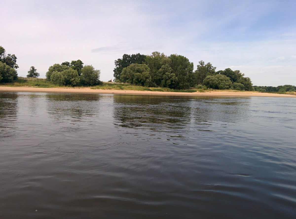 Zerbst: Vernissage Naturraum Elbe hautnah erLEBEN