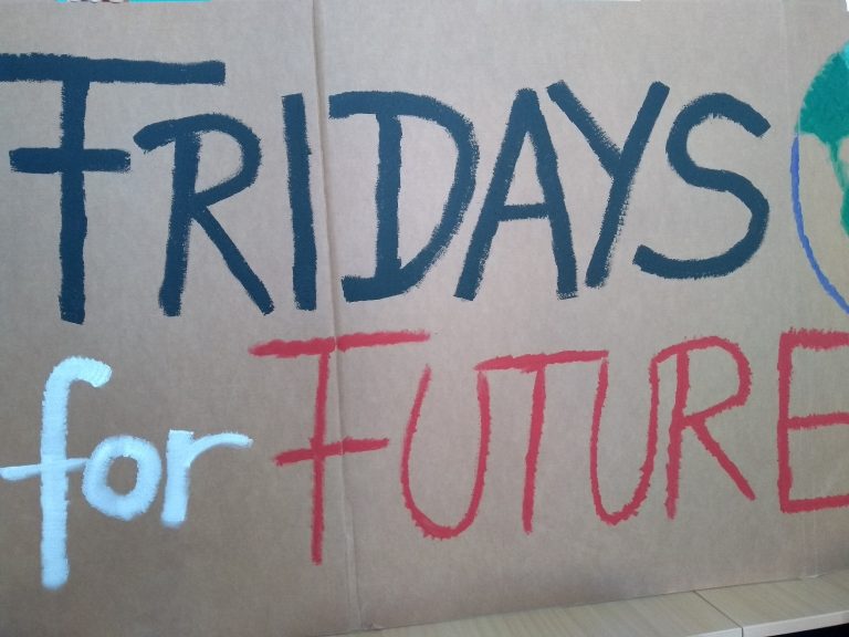 GRÜNE rufen zu Teilnahme an ‘Fridays for Future‘-Demonstrationen auf