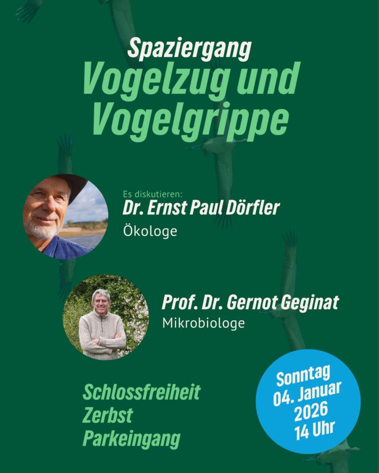 Vogelzug, Vogelgrippe & was das mit uns zu tun hat